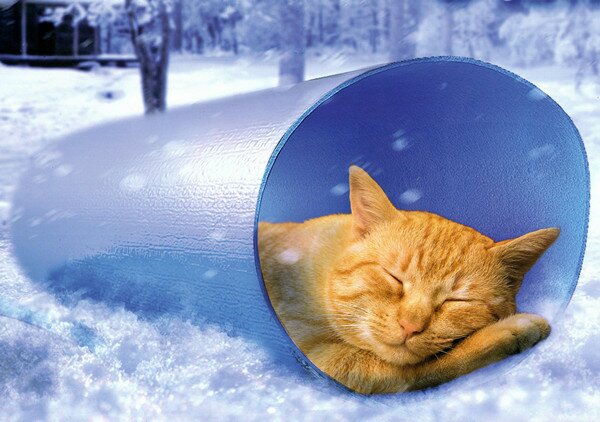 Котэ знает, где пенофол бывает
